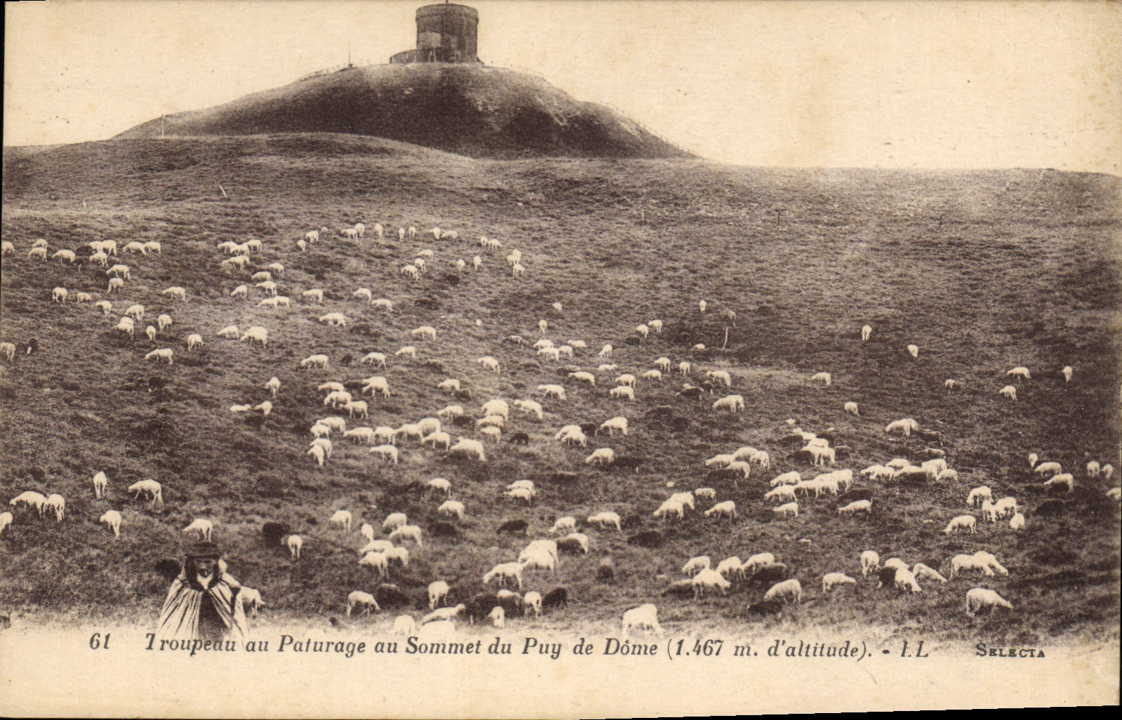 Troupeau au Paturage au Sommet du Puy de Dôme (1.467 m. d'altitude) — Selecta, n°61
