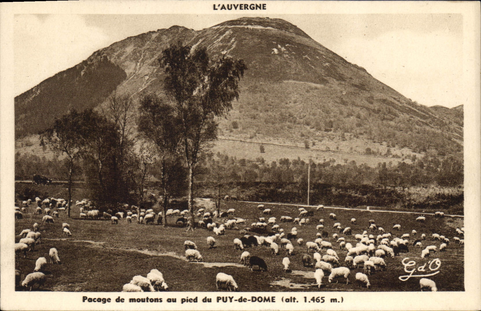CPA L'Auvergne Pacage de Moutons au pied du Puy de Dome 