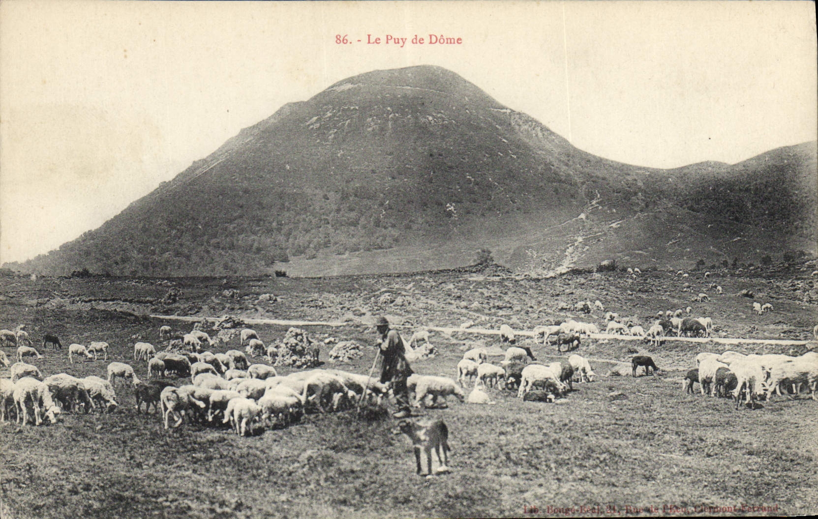 Le Puy de Dôme — Vue pastorale avec moutons et berger — Éditeur Bouge-Rép. n°86