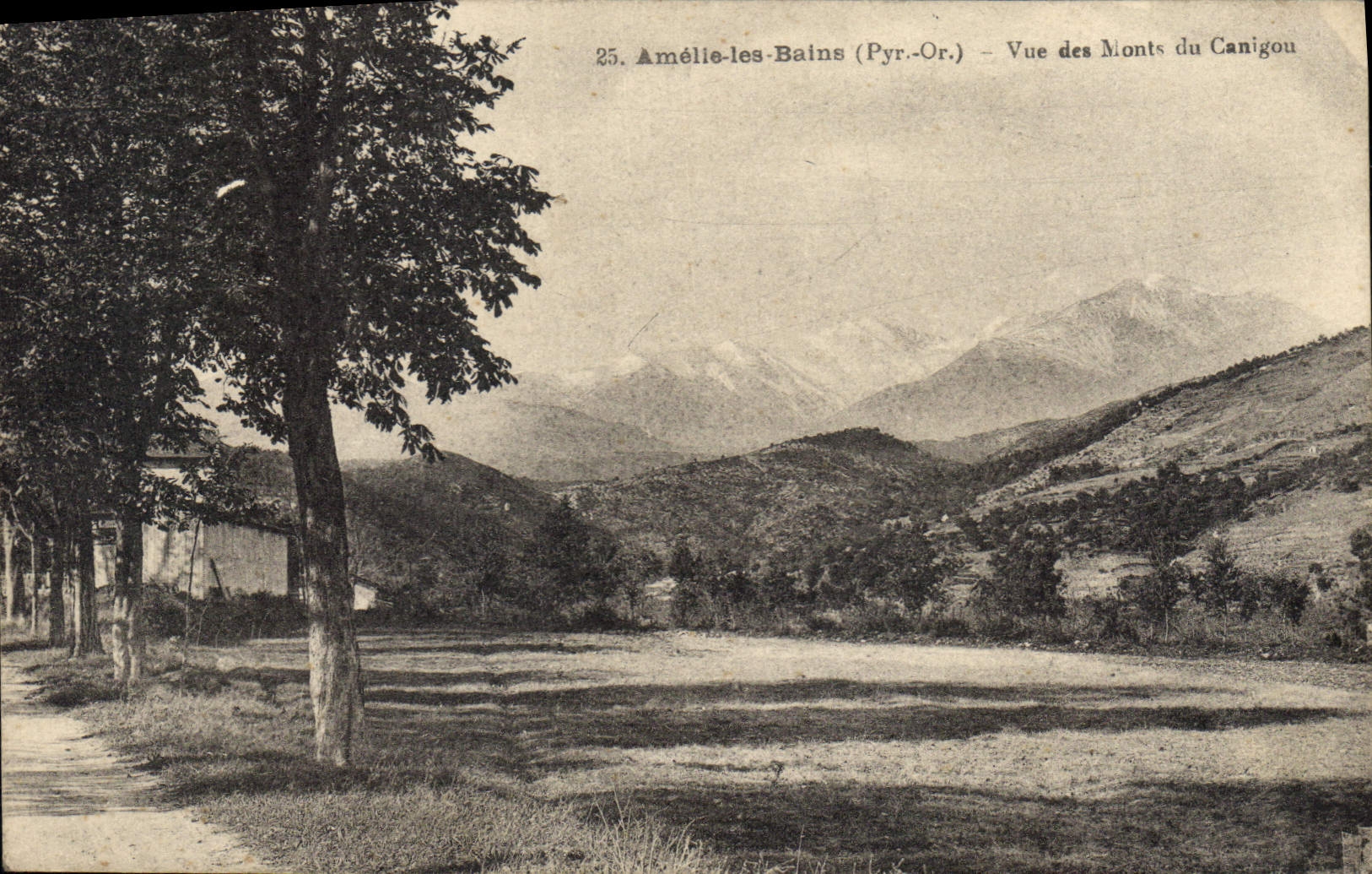 CPA Amelie les Bains Pyr Or Vue des Monts du Canigou 