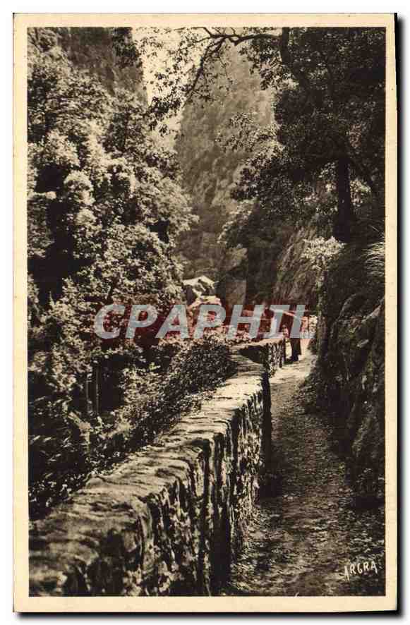 CPA Amelie les Bains PO Gorges du Mondony 