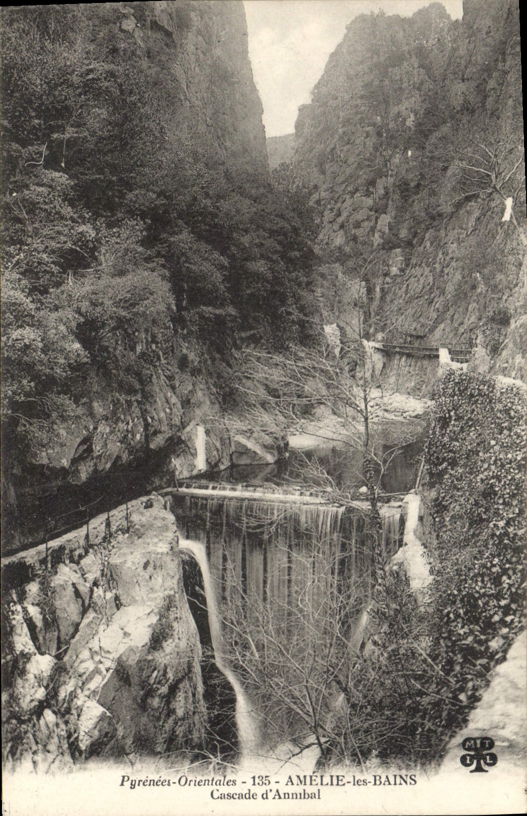 CPA Pyrenees Orientales Amelie les Bains Cascade d'Annibal 