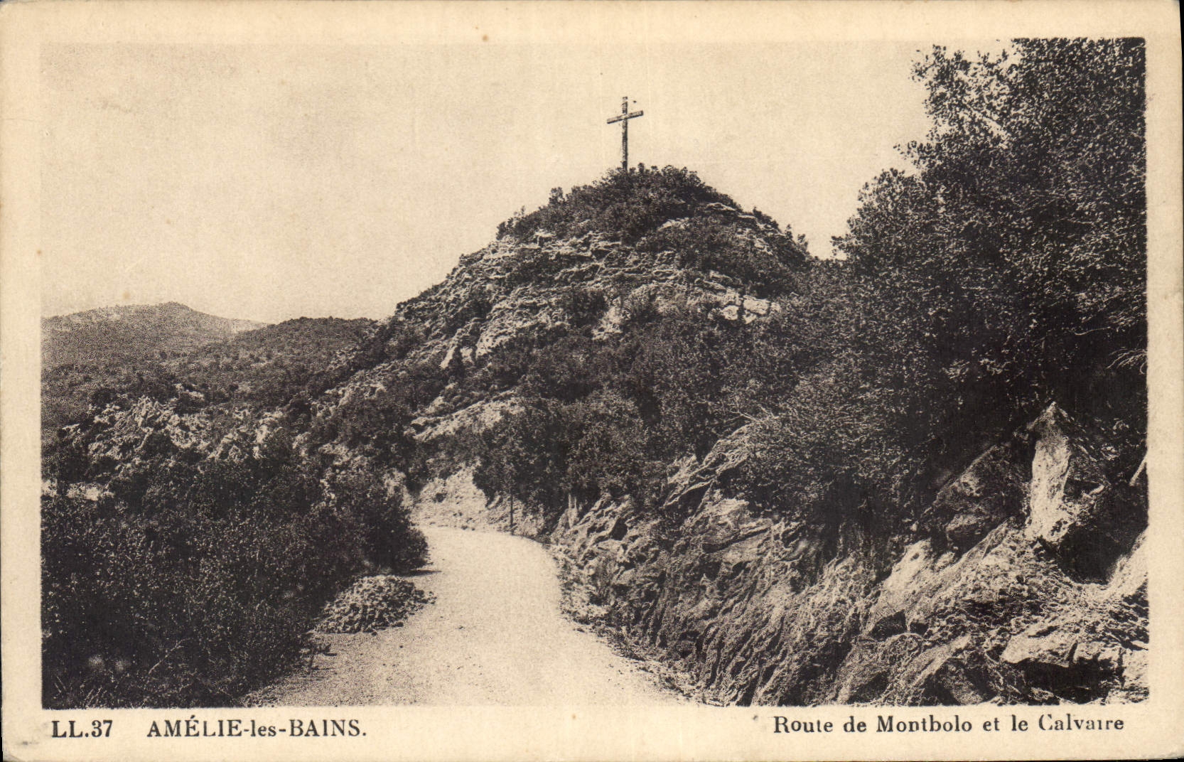 CPA Amelie les Bains Route de Montbolo et le Calvaire 