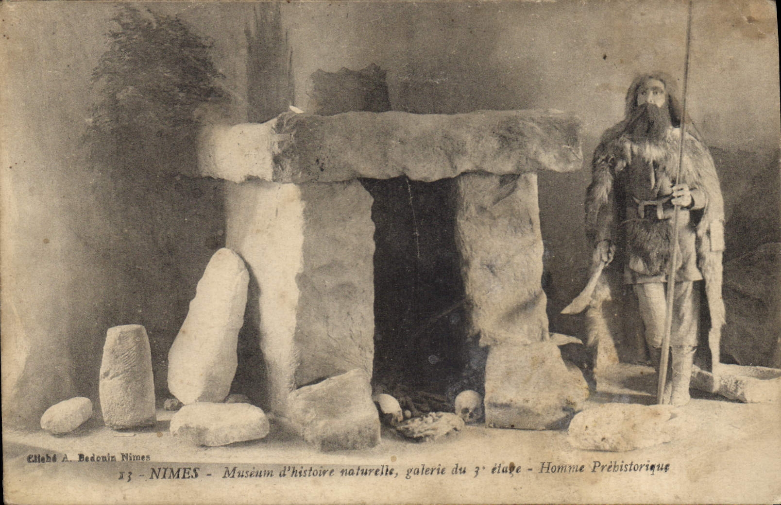 CPA Nimes Meseum d'histoire naturelle galerie du 3 etage Homme Prehistorique 