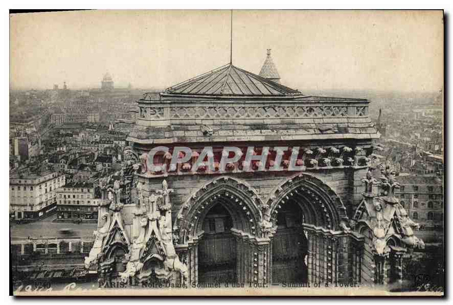 CPA Paris Notre Dame Sommet d'une Tour 