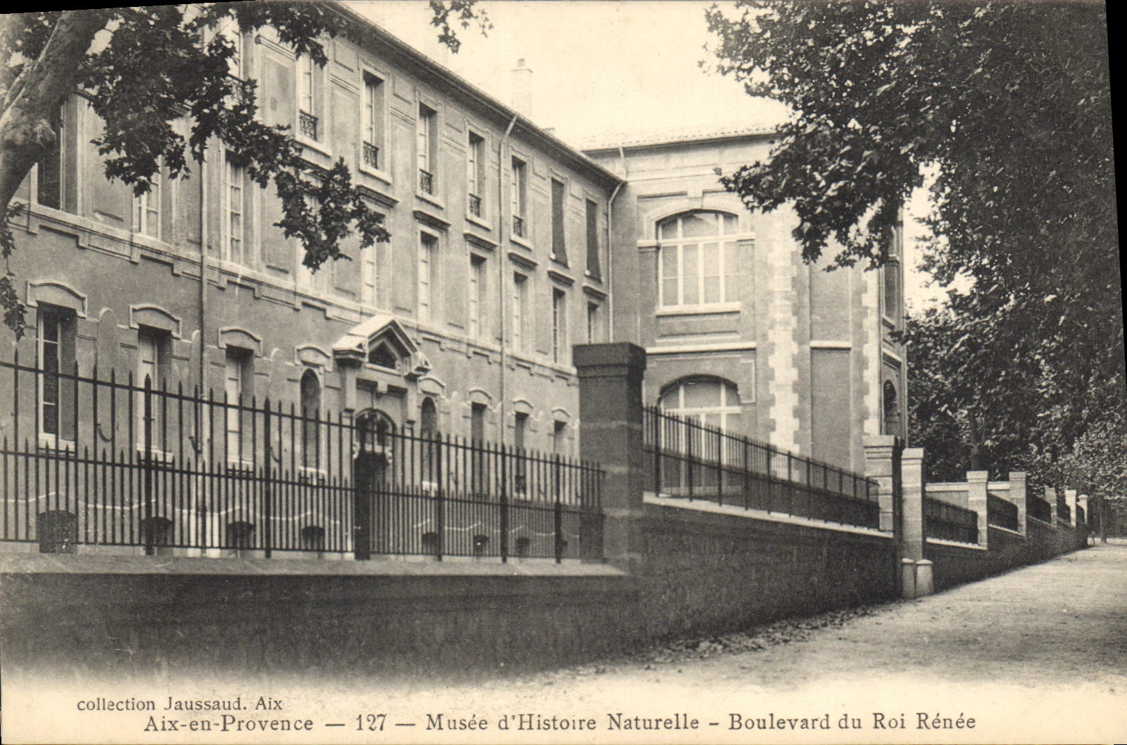 Musée d'Histoire Naturelle — Aix-en-Provence — collection Jaussaud — n°127