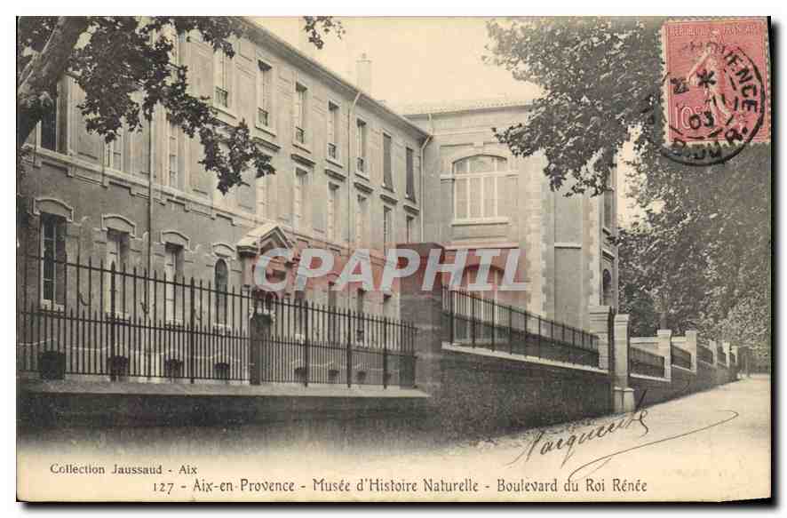 Aix-en-Provence — Musée d'Histoire Naturelle — Boulevard du Roi Renée — Collection Jaussaud, n°127