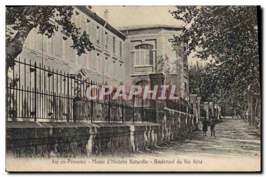 Aix-en-Provence — Musée d'Histoire Naturelle — Boulevard du Roi René — photo Fauvaires