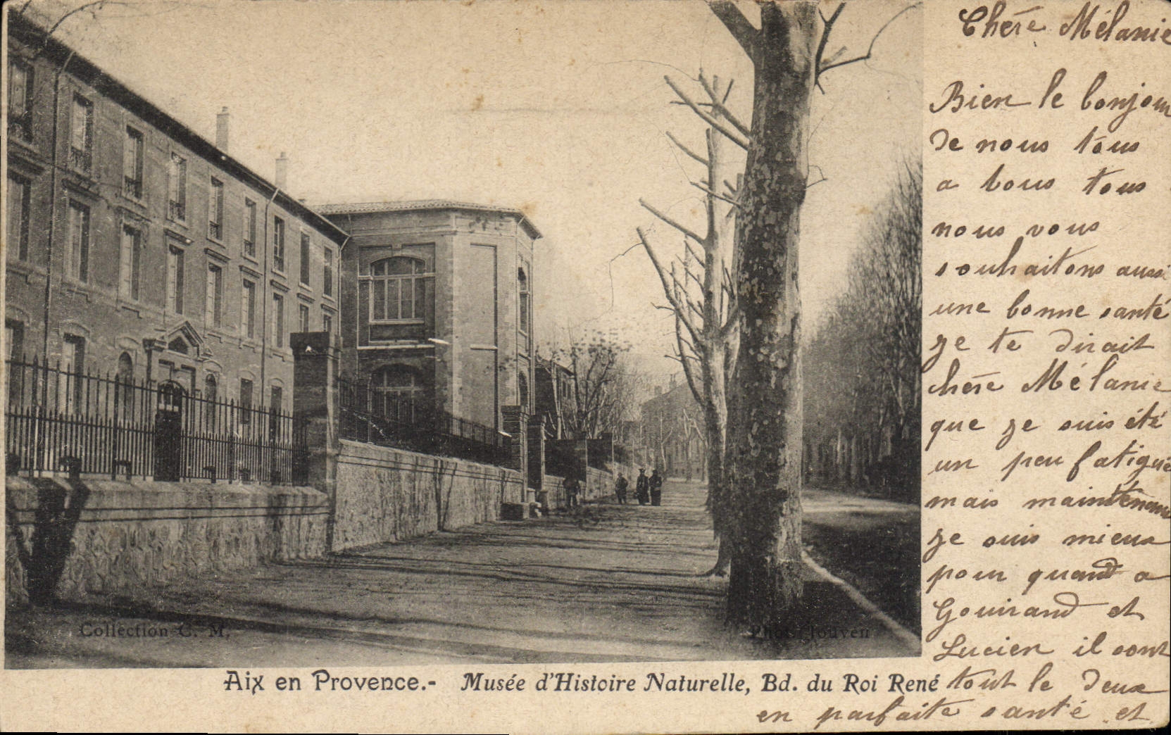 Aix en Provence — Musée d'Histoire Naturelle, Bd du Roi René — Photo Jouvren