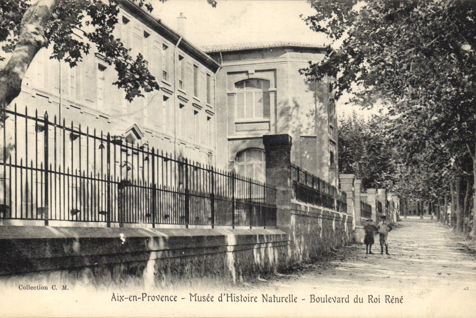 Aix-en-Provence — Museum für Naturgeschichte — Boulevard du Roi René — Sammlung C. M.