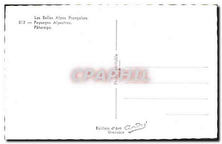 CPA Les Belles Alpes Francaises Paysages Alpestres Paturage  — Rückseite