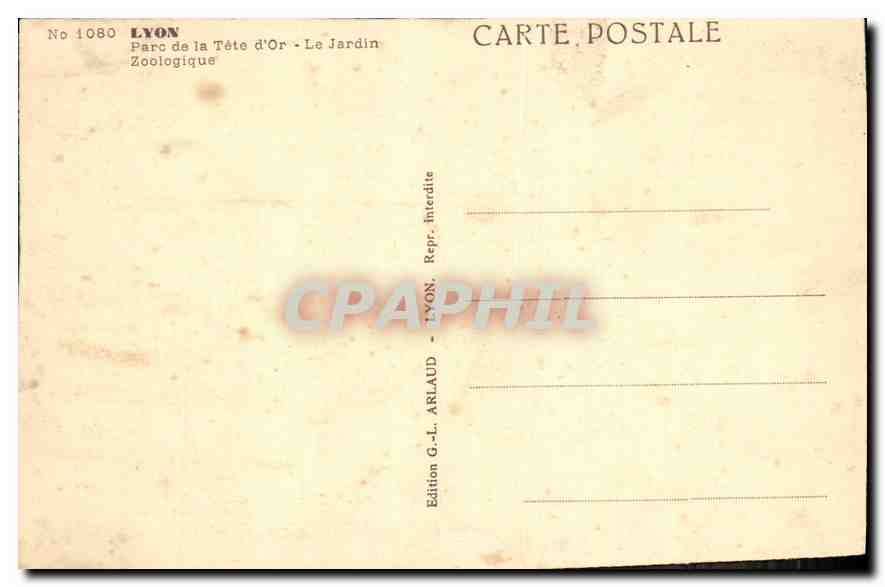 CPA Lyon Parc de la Tete d'Or Le Jardin Zoologique Elephant — Rückseite