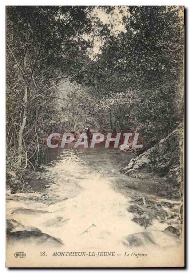 CPA Montrieux Le Jeune Le Gapeau 