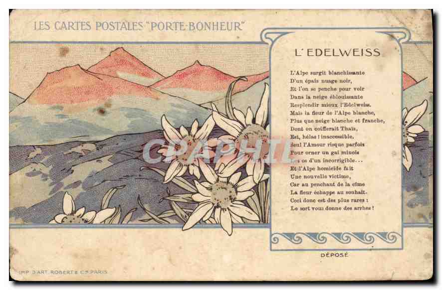 CPA Les Cartes Postales Porte Bonheur Edelweiss Fleurs