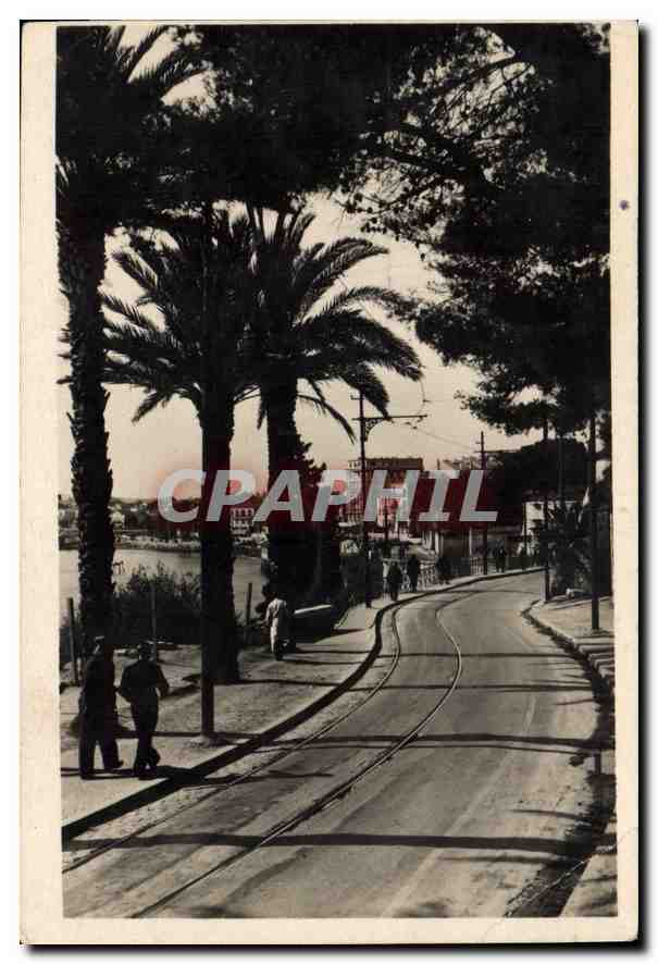 CPA Toulon Le Boulevard Frederic Mistral 