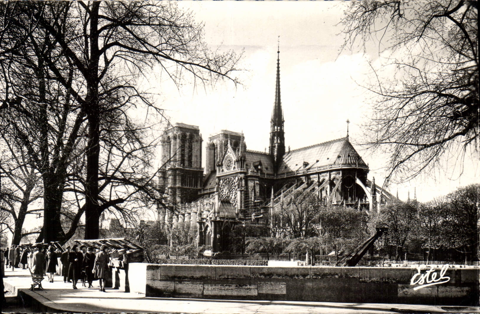 CPA Paris Notre Dame les Quais et les Bouquinistes 