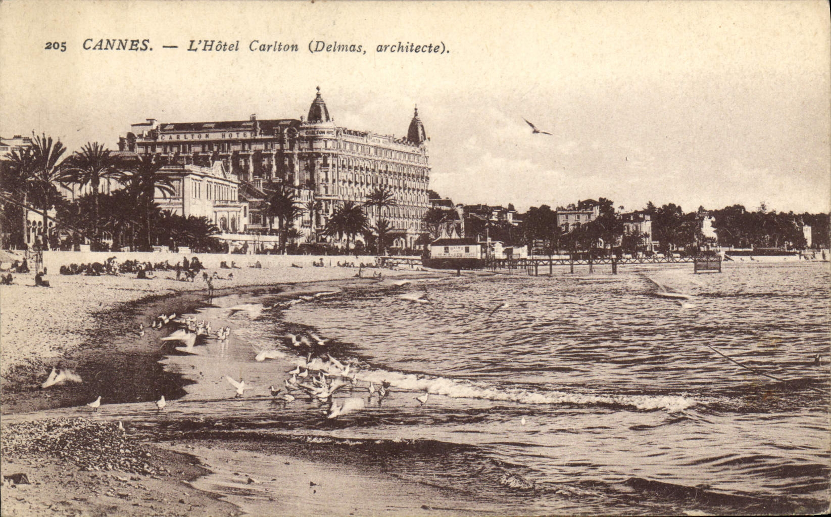 CPA Cannes L'Hotel Carotin Delmas architecte 