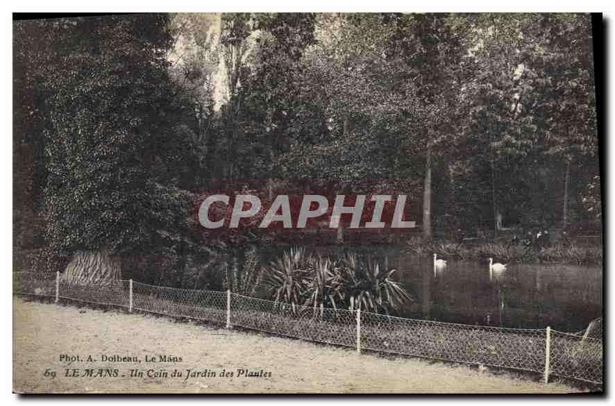 CPA Le Mans Un coin du Jardin des Plantes 