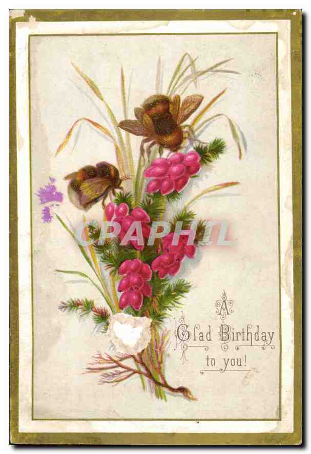 CPA With Congratulations and best wishes Fleurs — Rückseite