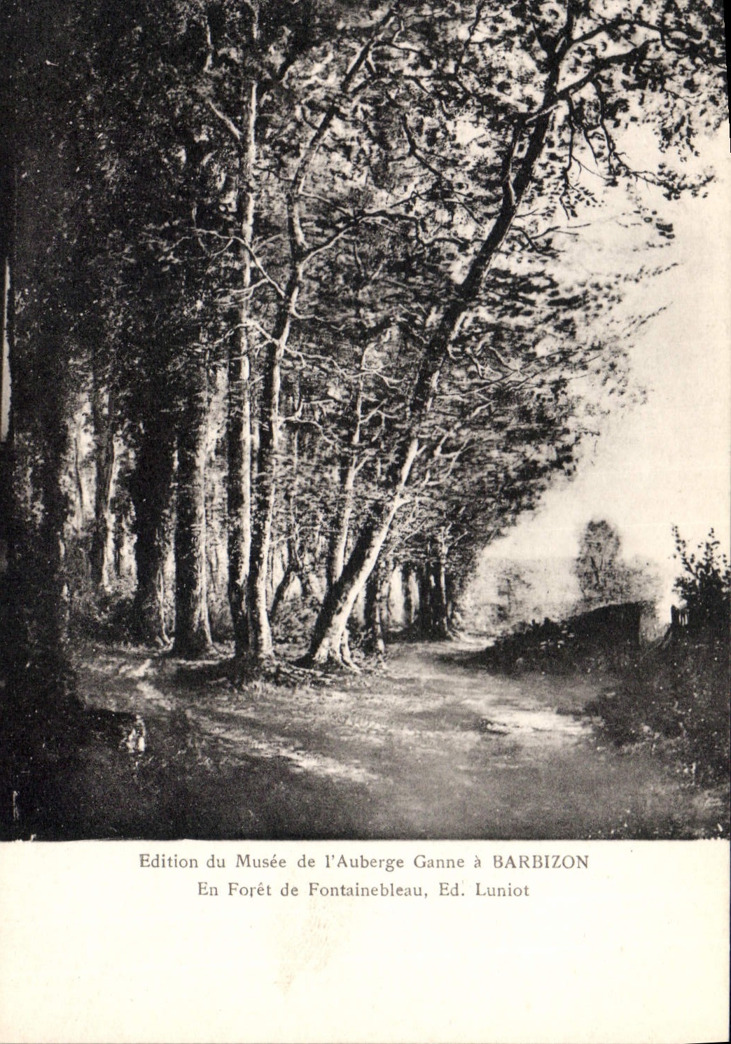 Forêt de Fontainebleau — Vue forestière — Edition du Musée de l'Auberge Ganne à Barbizon