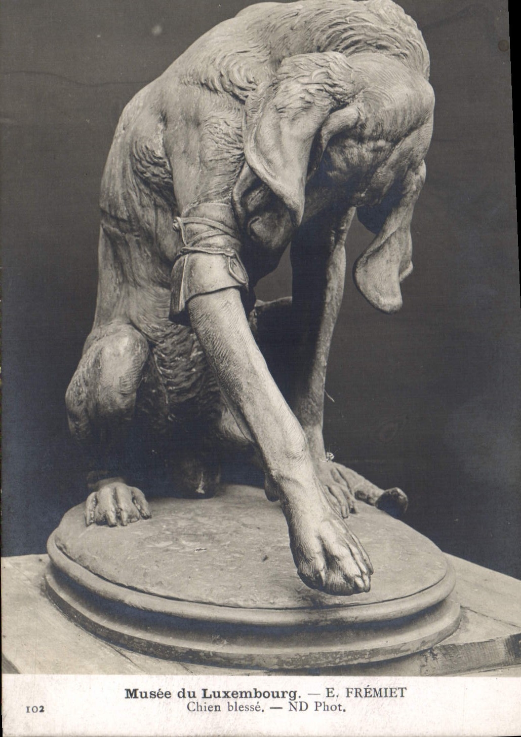 CPA Musee du Luxembourg E Fremiet Chien blesse 