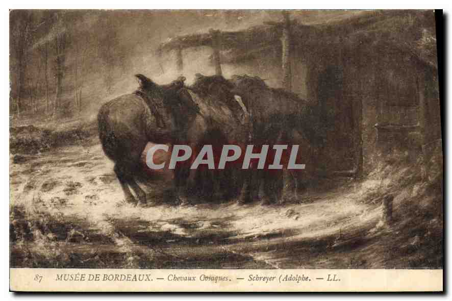 CPA Musee de Bordeaux Chevaux Gosaques 