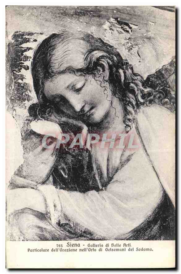 CPA Siena Galleris di Belle Arli 
