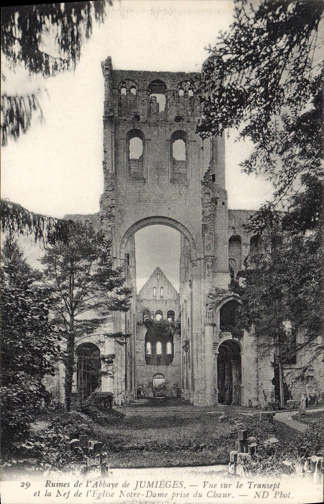 CPA Ruines de l'Abbaye de Jumieges Vue sur le Transept et la Nef 