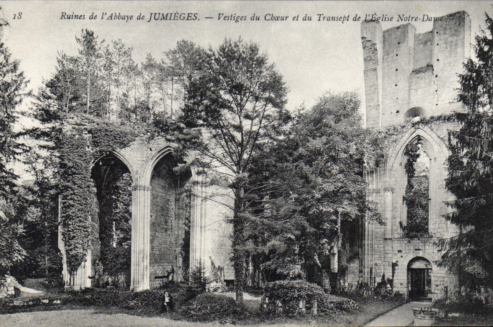CPA Ruines de l'Abbaye de Jumieges Vestiges du Choeur et du Transept de l'Eglise Notre Dame 