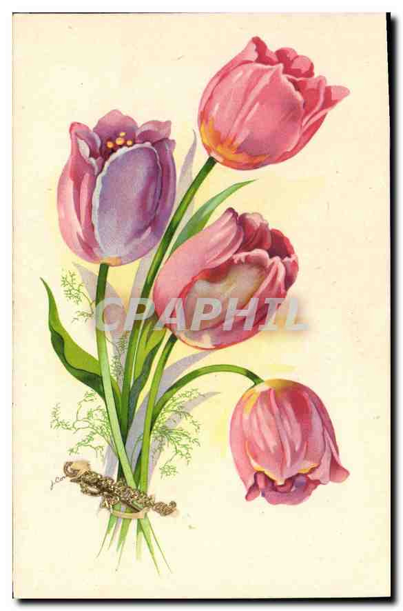 CPA Fleurs
