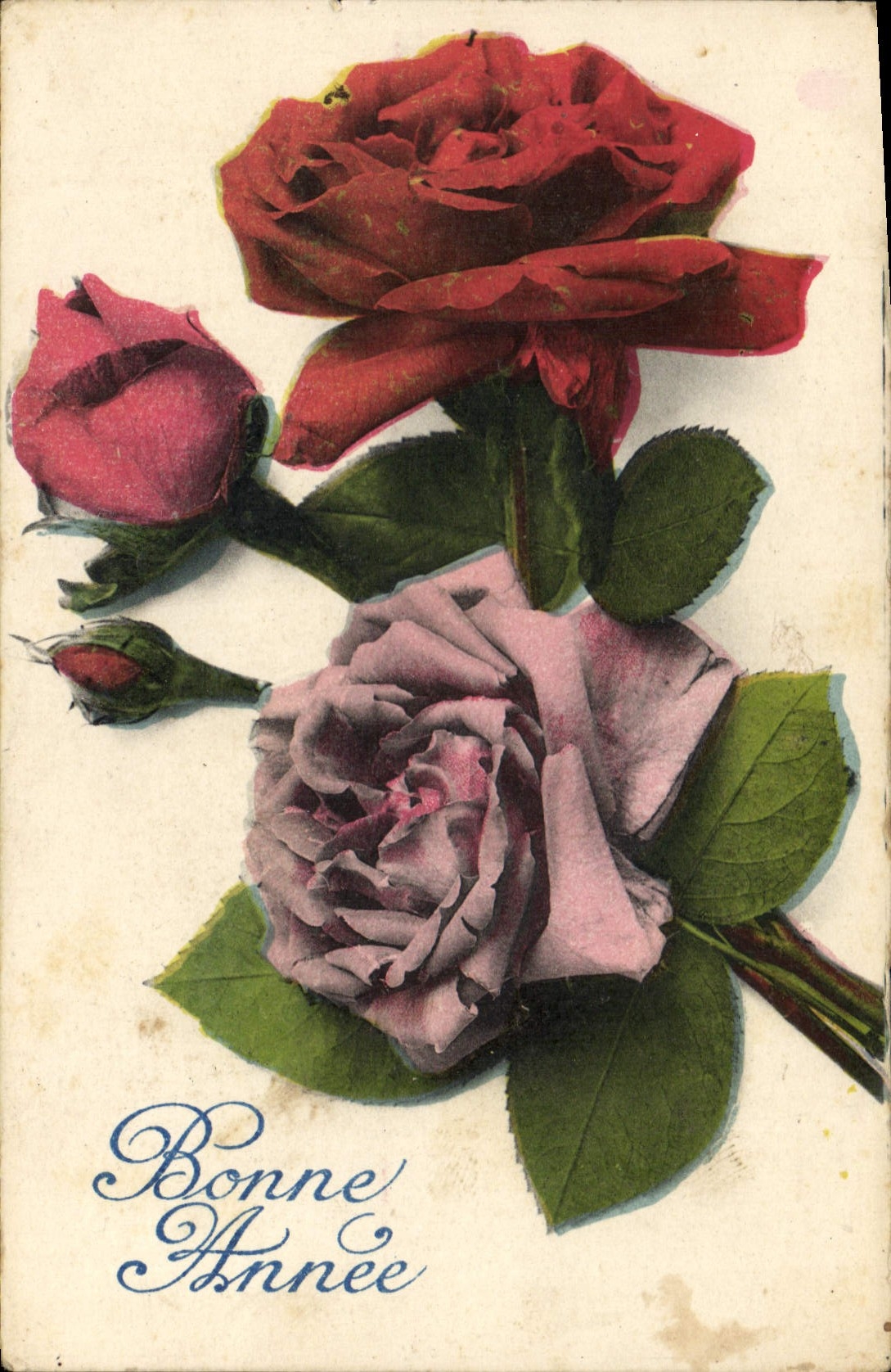 CPA Fleurs