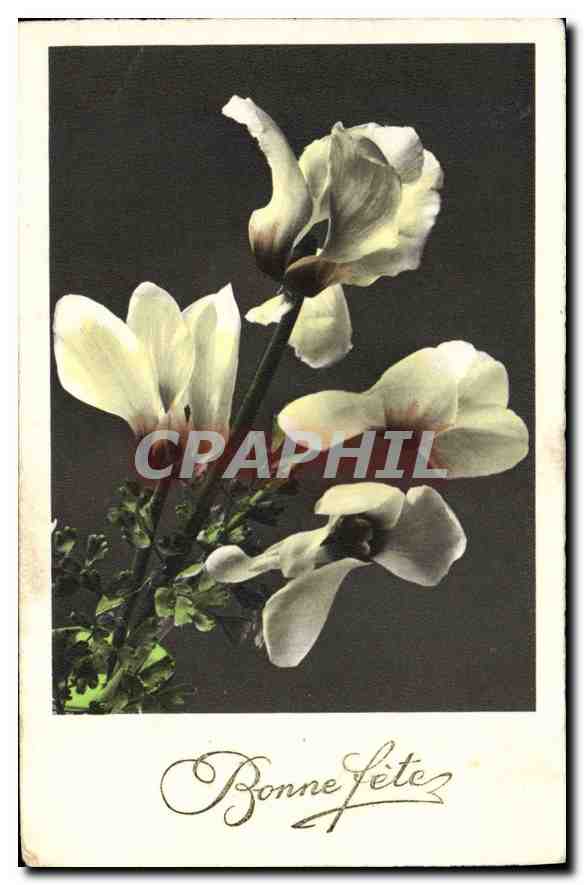 CPA Fleurs