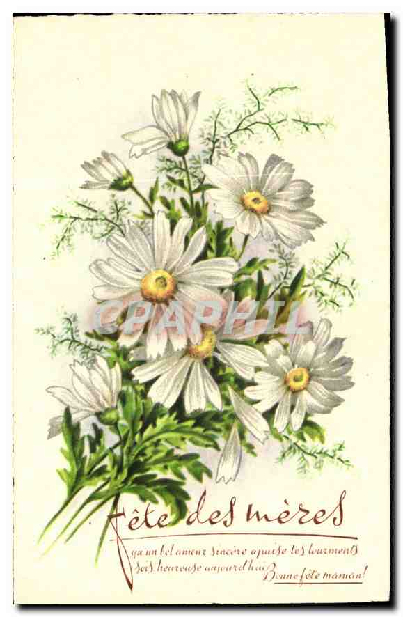 CPA Fleurs