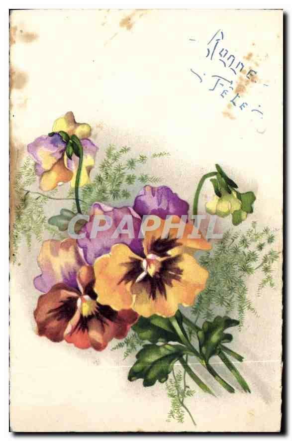 CPA Fleurs