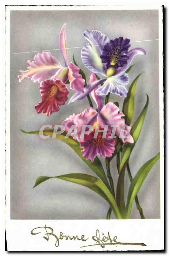 CPA Fleurs