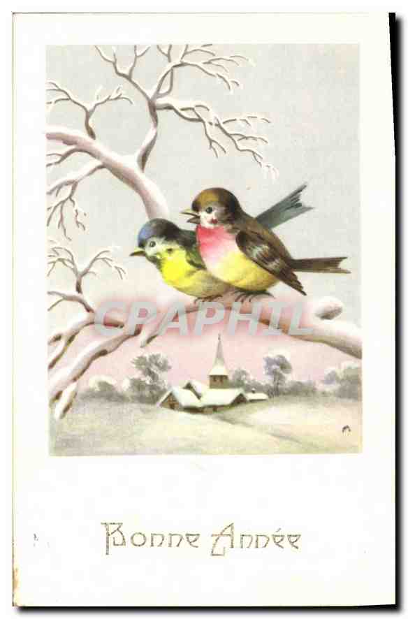 CPA Bonne Annee Oiseaux