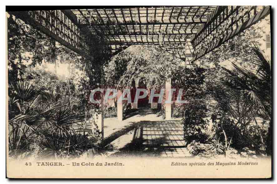 CPA Tanger Un Coin du Jardin 