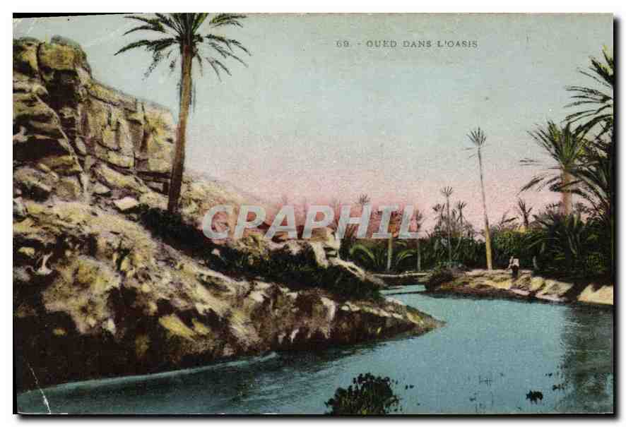 CPA Oued Dans L'Oasis 