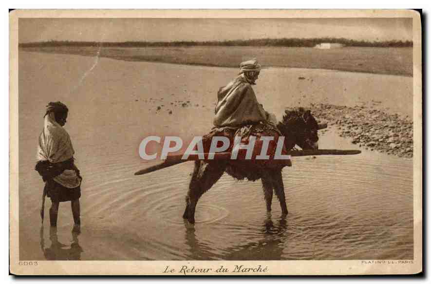 CPA Le Retour du Marche Ane Mule