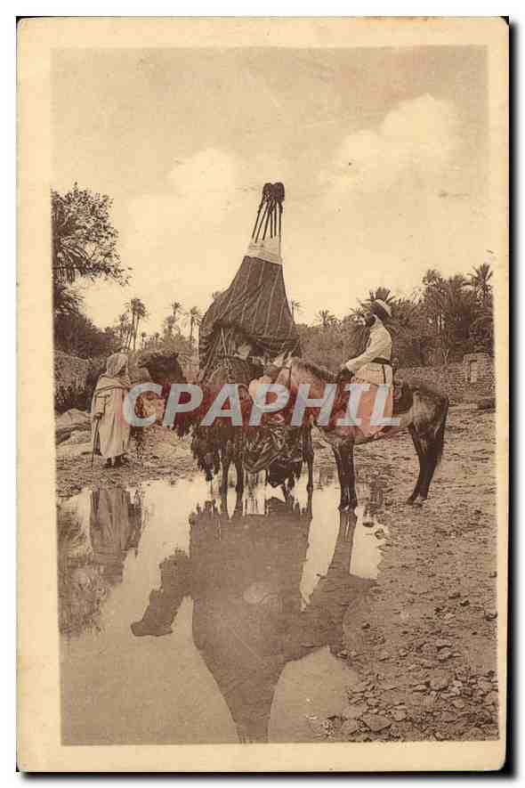 CPA Bou Saada Bassoud a la Riviere Chameau Cheval