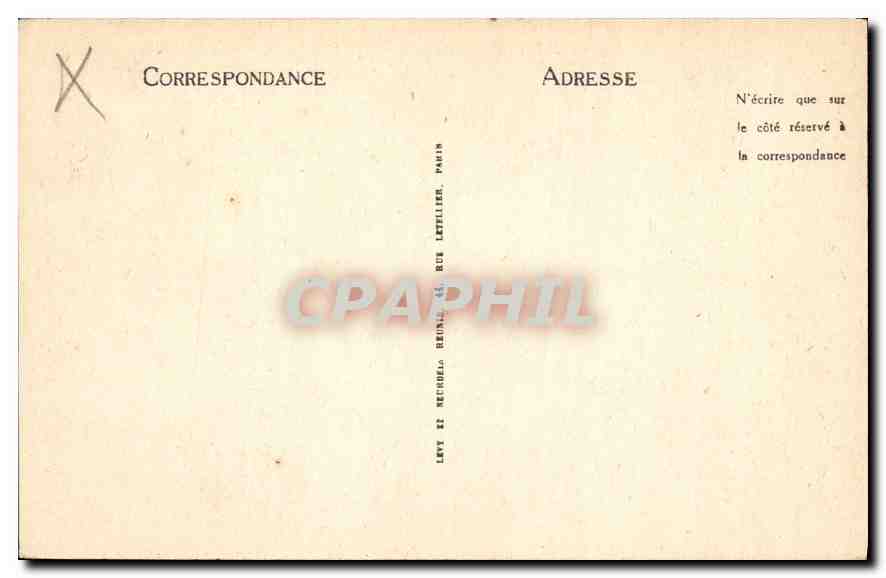 CPA Biskra Palmiers garnis de leur regime  — Rückseite