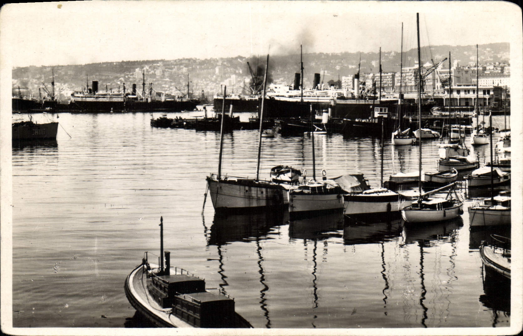 Port d'Alger — vue du port avec bateaux et navires — Édition La Cognée, n° 203