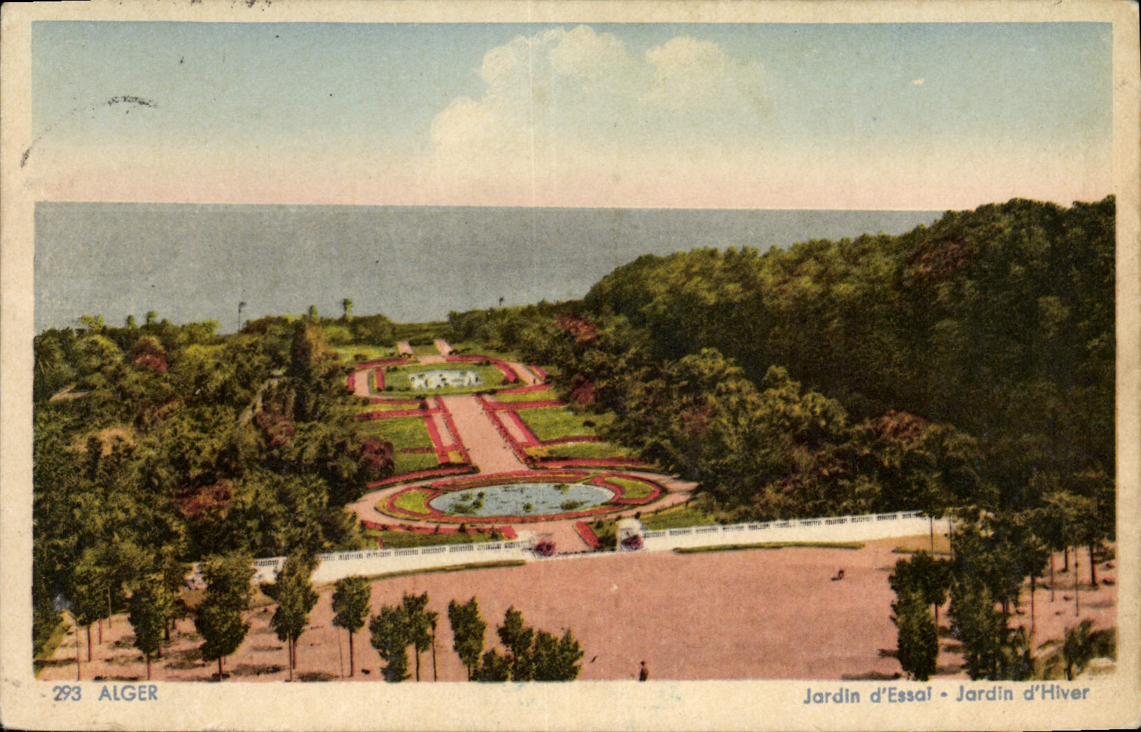 CPA Alger Jardin d'Essal Jardin d'Hiver 