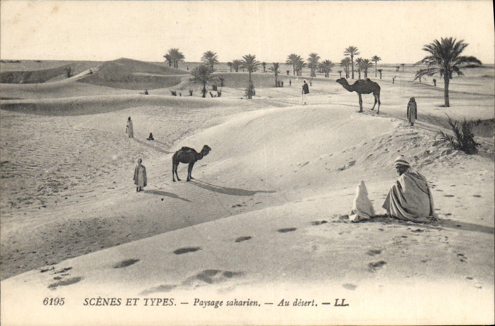 CPA Scenes et Types Paysage saharien Au desert 