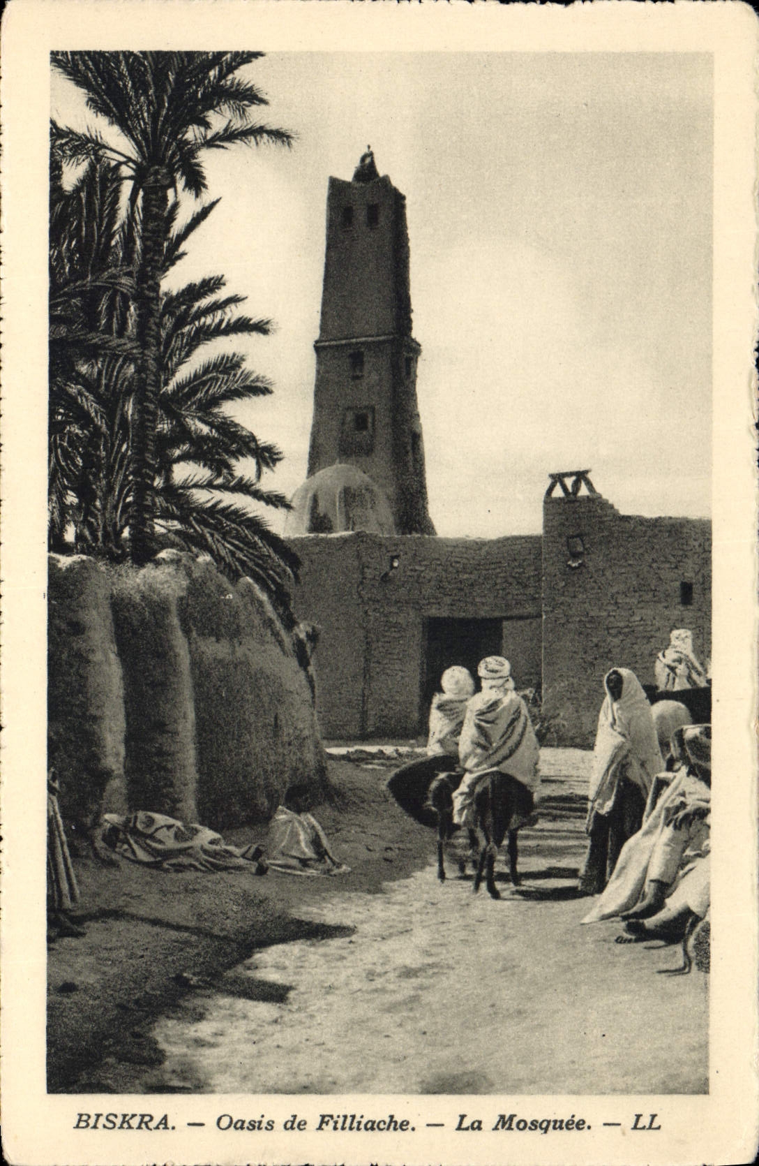CPA Biskra Oasis de Filliache La Mosquee 