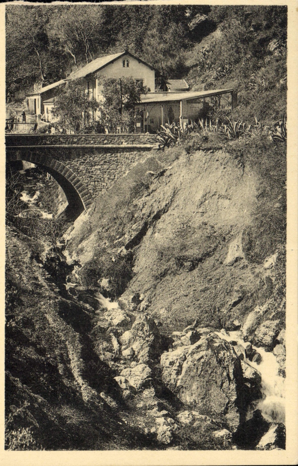 CPA Blida Gorges de la Chiffa L'Hotel et l'Oued Tarmesguida 