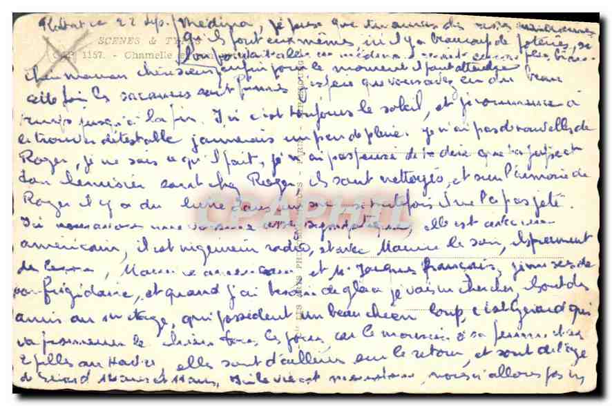 Camel et poulain — scène de désert — éditeur C.P. n° 1157 — Verso