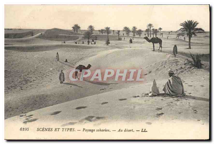 Paysage saharien — Au désert — LL. — SCÈNES ET TYPES — n° 6195