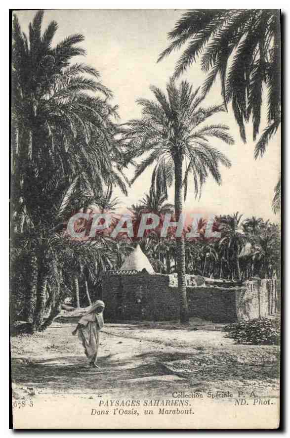 CPA Paysages Sahariens Dans l'Oasis un Marabout 