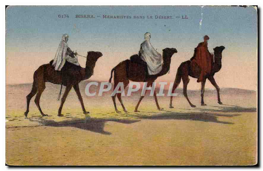 CPA Biskra Meharistes dans le Desert 